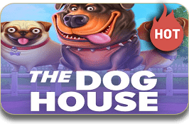 The Dog House-PRAGMATIC
